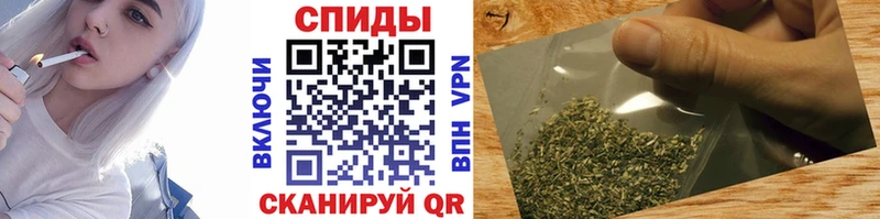 кракен как войти  где купить   Мурино  Бутират бутандиол 