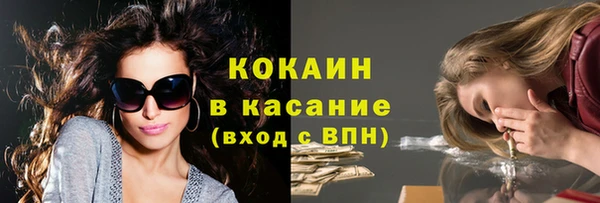 кокс Арсеньев