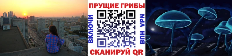 кракен зеркало  сколько стоит  Мурино  Галлюциногенные грибы MAGIC MUSHROOMS 